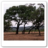 44. Hill country view lot, Apache Shores,Tx